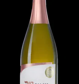 Svetla steklenica penečega vina Penina, ki simbolizira praznovanje in kakovostno slovensko vinsko ponudbo.