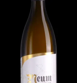 Moderna steklenica Sauvignon vina z minimalistično etiketo, odraz svežine in bogate vinarske tradicije butičnih vin.