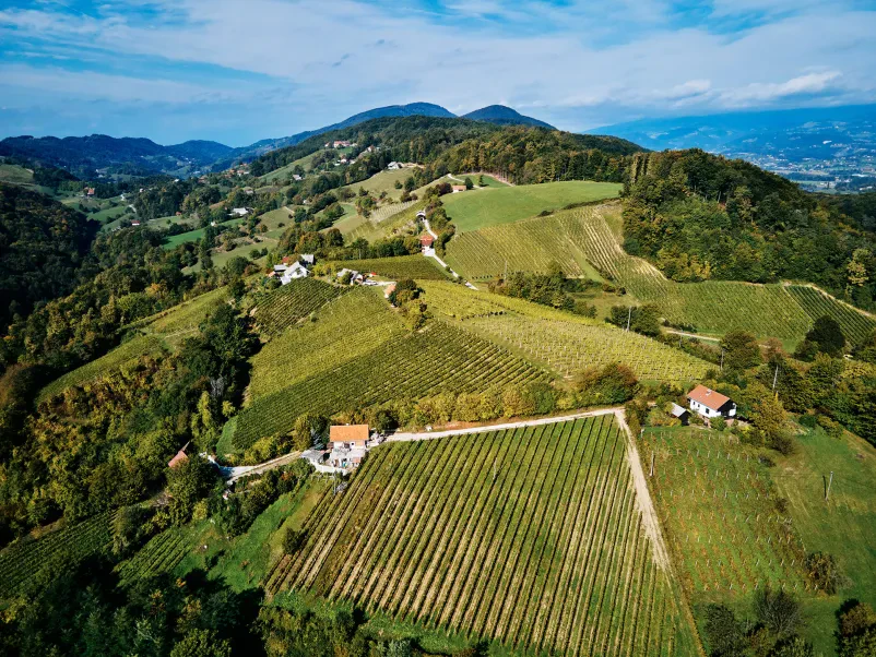 Panoramski pogled na posestvo Meum Panoramski posnetek posestva Meum z vinogradi in kletjo, ki ponuja vrhunska bela in rdeča butična vina Slovenija.