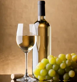 Trsne cepljenke z vinograda na Štajerskem