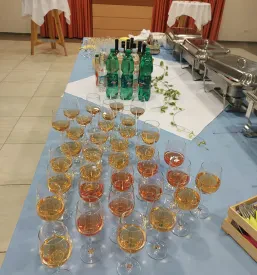 Prostor za pogostitve Pesnica