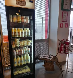 Domači mlečni izdelki