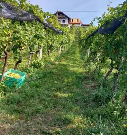 Počitnice na turistični kmetiji Kozjansko