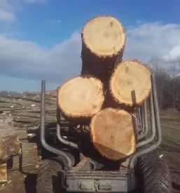 Odvoz lesa iz gozda Štajerska