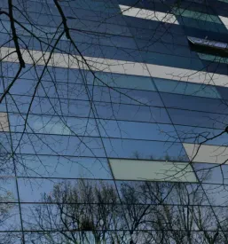 Gradnja novogradenj v Sloveniji