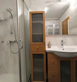 Družinski apartma Branik