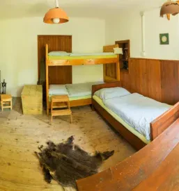 Affordable cottage Kočevje