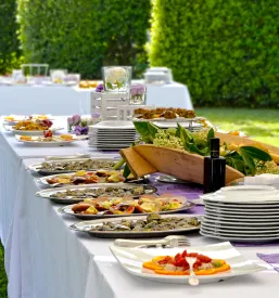 Čudovit zunanji banket s svežimi in slastnimi jedmi, obdan z naravo in okrašen s cvetjem, idealen za poletne zabave in poroke. Catering za dogodke po naročilu Slovenija ponuja rešitve tudi za piknike na prostem.