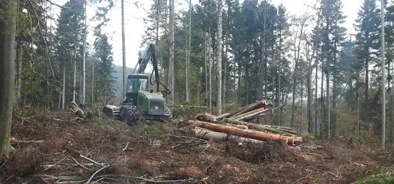 Mehanizirano spravilo lesa Sodoben gozdarski stroj, t.i. forvarder, spravlja debelce iz gozda, kar dokazuje napredno Gozdarske storitve, sečnja in spravilo lesa Posočje.