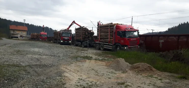 Pripravljen les za odkup in razrez Velike količine kakovostnega posekanega lesa so pripravljene za odkup, razrez in prodaja lesa Ajdovščina, Slovenija.