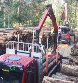 Delavec upravlja gozdarski stroj, ki podira drevesa, kar je pomemben del odkup, razrez in prodaja lesa Ajdovščina, Slovenija.