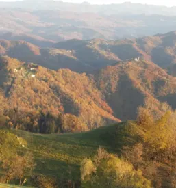Moderna zunanjost poslovne stavbe s transparentno fasado in urejeno okolico, ki odraža profesionalnost podjetja.