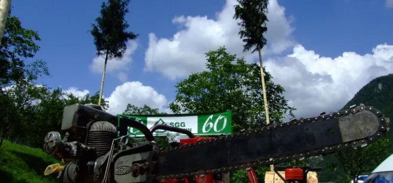 Vhod v poslovno stavbo podjetja Skupina ljudi vstopa v sodobno poslovno stavbo podjetja, ki se ukvarja z gozdarskimi storitvami.