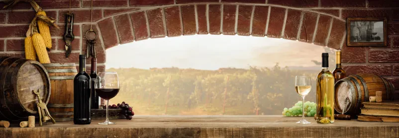 Degustacija rdečega in belega vina v tradicionalni vinski kleti, z razgledom na prekmurske vinograde v sončnem zahodu, kar je del Turističnih dogodkov in prireditev Moravske Toplice, Prekmurje.
