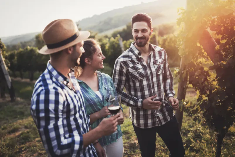 Skupina veselih prijateljev uživa v sproščeni degustaciji vina med slikovitimi vrstami v vinogradu, doživljajoč Turistične dogodke in prireditve Moravske Toplice, Prekmurje.