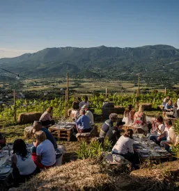 Turistično in vinarsko društvo Brje