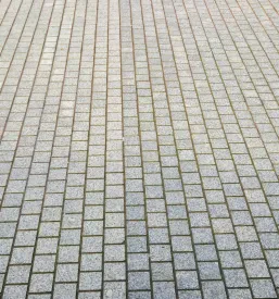 Zunanje ureditve dvorišč v Posavju