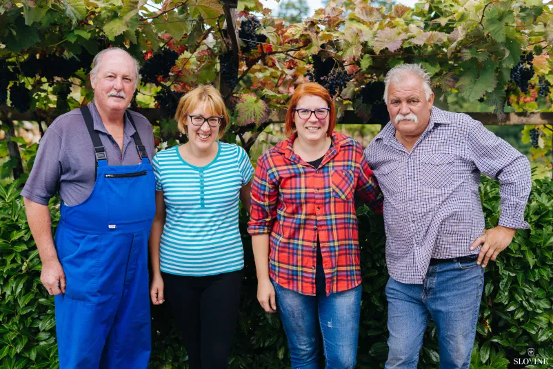 Vinogradniki skrbno žanjejo grozdje pod jesenskim soncem, kar poudarja tradicijo družinskega vinogradništva na Krasu.