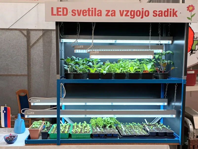 Pregled sistema močnih LED svetil, nameščenih v komercialnem objektu, ki zagotavljajo zanesljivo osvetlitev.