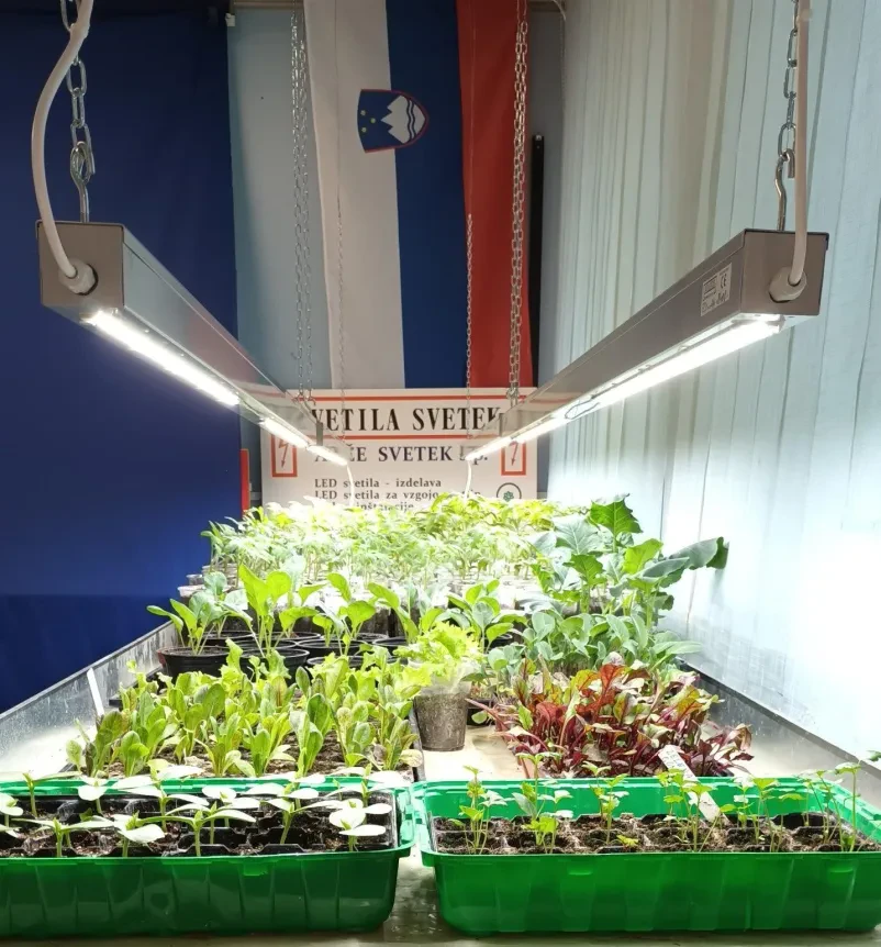 Visoko učinkovita LED svetilka za zahtevna okolja. Predstavlja kvalitetne baktericidne svetilke proti plesni Slovenija za zanesljivo uporabo.