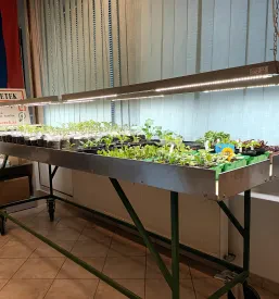 Pogled na prostorno sobo, osvetljeno z moderno razsvetljavo. Poudarja arhitekturne detajle in ustvarja prijetno vzdušje.