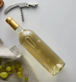 Pogled od zgoraj na steklenico belega vina, ki jo dopolnjujejo sveže grozdje, zamašek in narezana suha šunka na bageti, vse na belem ozadju. Idealno za gurmansko doživetje.