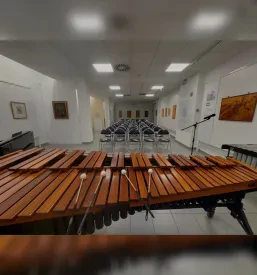 Online tečaj bobnov, tolkal