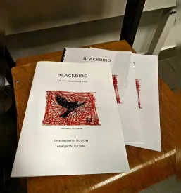 Spletno poučevanje bobnov, marimbe Slovenija