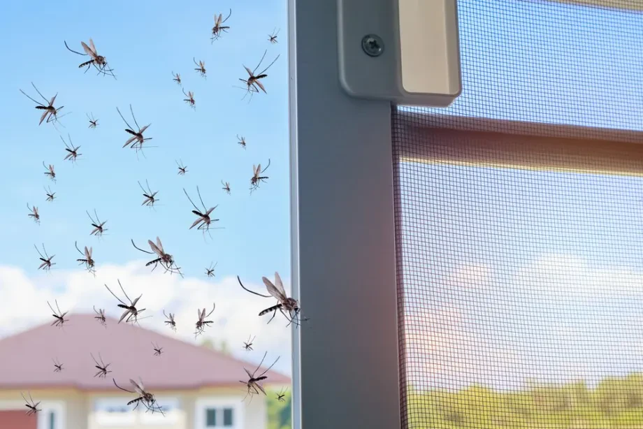 Kako izbrati pravi komarnik za miren poletni spanec?